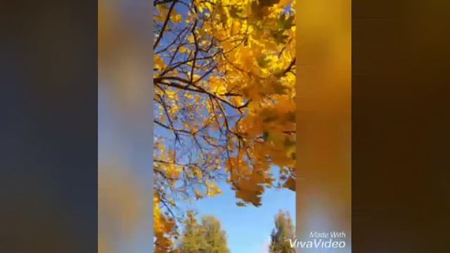 Соловьева Александра Афанасьевна, пенсионерка,  Бетюнский наслег