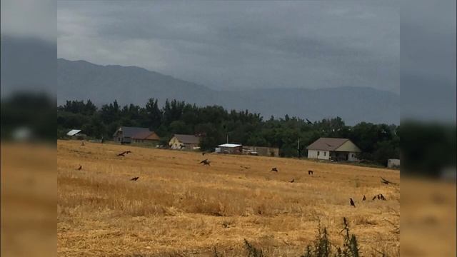 Endless love - Asset Kurmashev смотреть онлайн