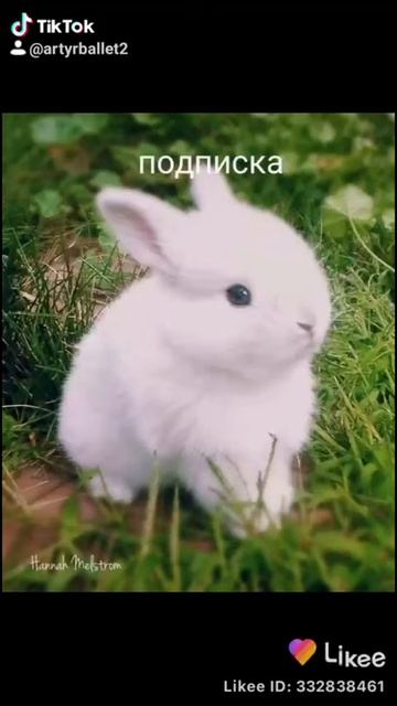 26 ноября 2020 г. смотреть онлайн