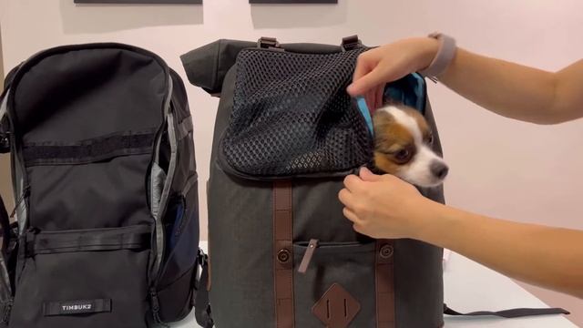 Timbuk2 Muttmover vs Kurgo K9 - mochila para pet