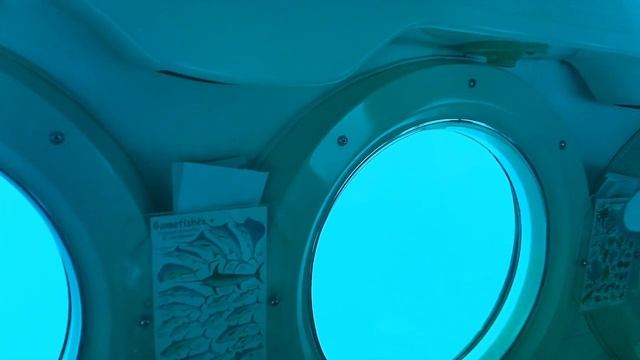 2024 Atlantis Submarine Barbados смотреть онлайн