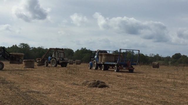 Так собирают лён. Газета "Бежецкая жизнь". смотреть онлайн