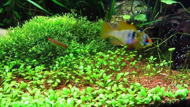 MVI 3743 смотреть онлайн