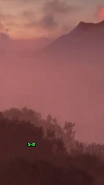 Стихотворение о чувствах к родителям #shorts