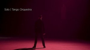 Валерия Чекалина-Луис Сквиччиарини. "Рождественский бал в театре Геликон-Опера(Бальные танцы)"