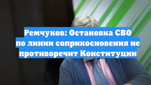 Ремчуков: Остановка СВО по линии соприкосновения не противоречит Конституции