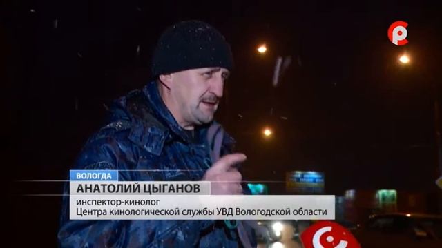 Рейд ГИБДД прошел в выходные в областной столице смотреть онлайн