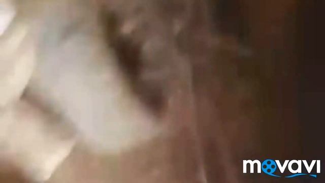 Заводим самодельный трактор после 1 года простоя смотреть онлайн