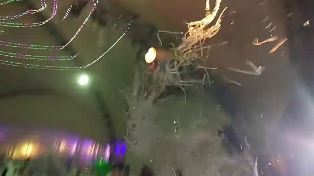 Бумажное шоу на корпоратив Москва 8(926)-273-61-61