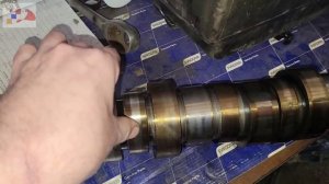 Срочная психопанорама
