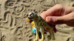 Animal toys for kids | Boom Kids Toys