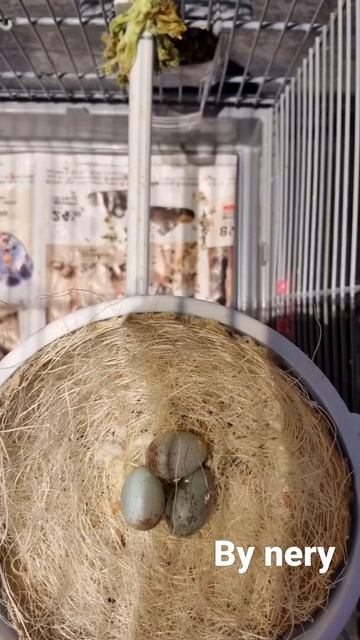 2 de marzo de 2022 смотреть онлайн