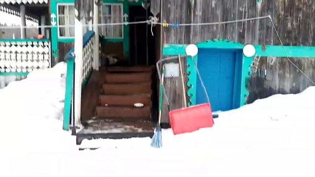 Найда где-то поранила лапу / Щенки открыли глаза / Приезд домой смотреть онлайн