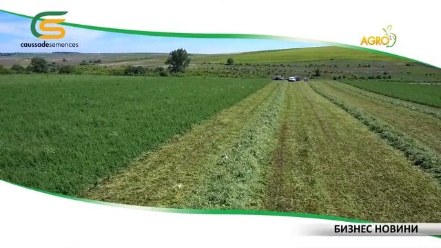 Бизнес Новини: Трактор на годината за 2021-ва вече е у нас смотреть онлайн