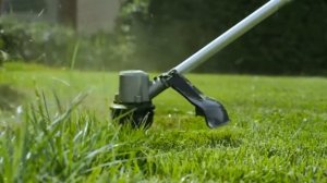 Бензокоса, бензокоса Shtenli описание, отзывы, обзор