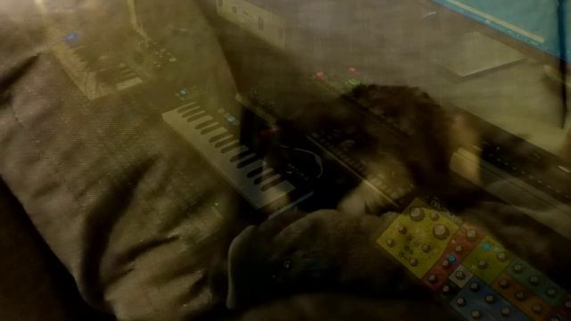 Cat Hearing Test - GONNH - Korg EA-1 + Bass Station 2 + Neutron смотреть онлайн