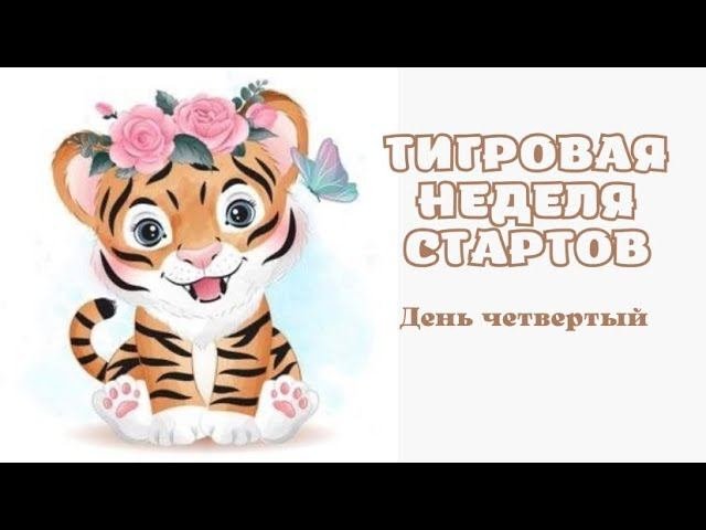 ТИгровая неделя стартов/ день четвёртый/ 14.10.2021 #тигровая_неделя_стартов_