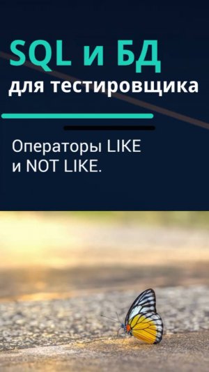 SQL и базы данных для тестировщика. Операторы LIKE и NOT LIKE в SQL.