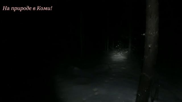 Три дня на второй избе. 3 серия. /Нашёл глухариный ток/