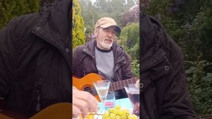 песня "Полюби, Марусенька, электрика" в исполнении А.Юлина