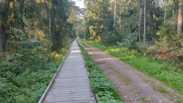 Зеленоградск-Кушская коса(начало) смотреть онлайн