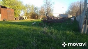 Расширяю ферму медленно, но без кредитов и долгов