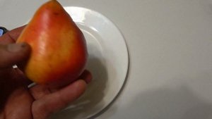 Красная груша ДИКОЛОР