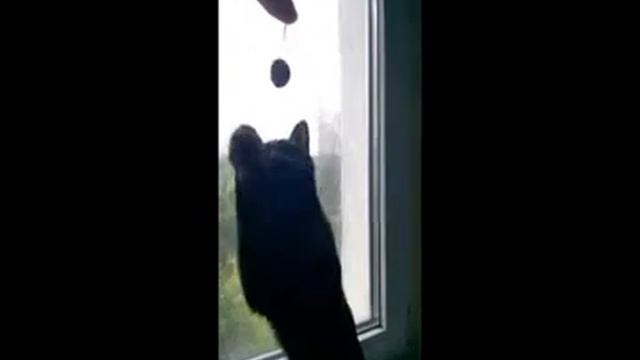 Мышка и черешня смотреть онлайн