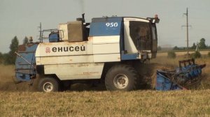 ЕНИСЕЙ 950 на уборке пшеницы.