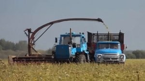 СПК КОЛХОЗ "КОЛОС" ЗАГОТОВКА СИЛОСА