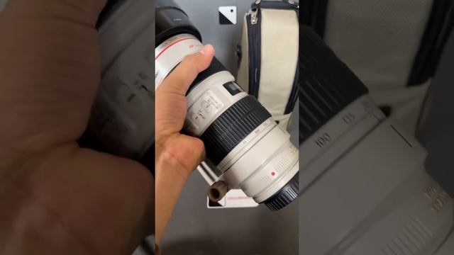 Canon ef70-200mm f2.8L IS USM #kameramurah #jualkamera #shorts #subscribe #canon #lens #lenses #lik смотреть онлайн