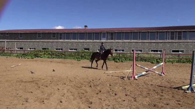 Босс прыжки3 июнь 2015 смотреть онлайн