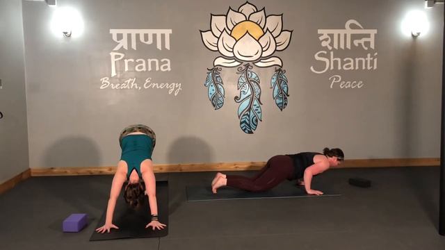 Instructor Shanah and Erin bringing you a fun and powerful vinyasa flow 💪 #survivalofthefittest смотреть онлайн