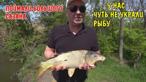 ПОЙМАЛИ БОЛЬШОГО САЗАНА И КАРАСЕЙ КРАСНОДАРСКИЙ КРАЙ / РЫБАЛКА НА СПИННИНГ /БОЛЬШОЙ УЛОВ НА КУКУРУЗУ