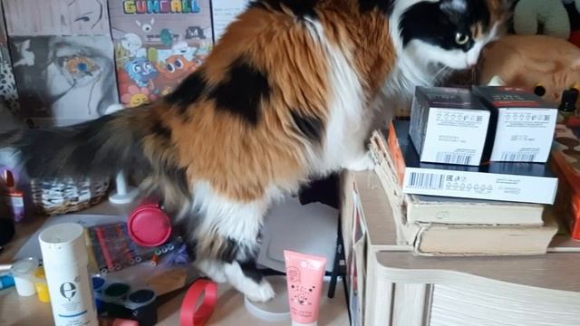 Сколько у меня баночек и коробочек? Считай с начала и до конца смотреть онлайн