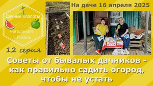 Советы от бывалых дачников - как правильно садить огород, чтобы не уставать. Дача 16 апреля 2025