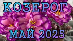 КОЗЕРОГ таро прогноз на МАЙ 2025 года.