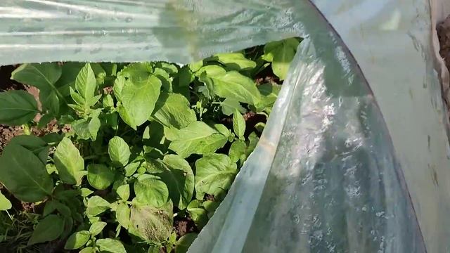 ⁉️❌️Херсонская область❌️📛 на связи Какая Обстановка❓️❓️❓️ смотреть онлайн