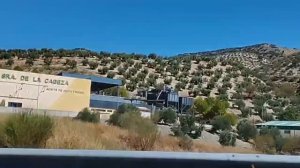 Проезжаем через Хаэн - оливковую столицу  Испании