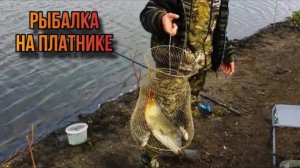 ЧТО МОЖНО ПОЙМАТЬ НА ПЛАТНИКЕ?Рыбалка на платнике в АВГУСТЕ 2024!НА ЧТО КЛЮЕТ КАРП,ЛИНЬ,КАРАСЬ!!!