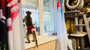 Посмотрите КАКАЯ Люська без Влада и КАК она меняется когда приходит любимый папа