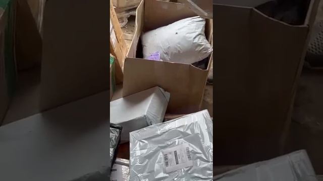 Продажа паллет озон Глобал
