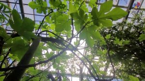 Прогулка по Ботаническому саду