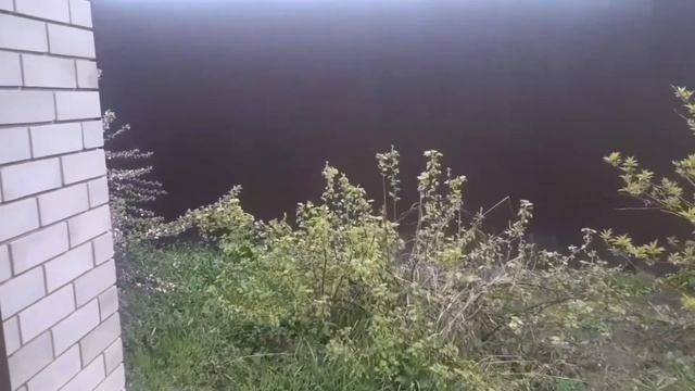 +3😱 Помидоры в шалаше,огурцы в земле./Пробую жёлтую редиску.Жизнь простых людей в деревне.🏕#влог