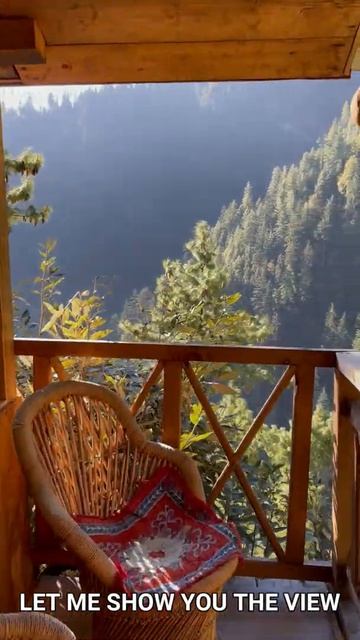 TREE HUT EXPERIENCE IN HIMACHAL PRADESH #shorts #youtubeshorts #travel смотреть онлайн