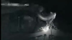 бараны в шахте Миусинская