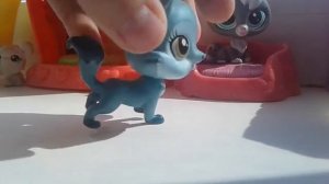 LPS Сериал"Любовь никогда не умрёт"2 серия