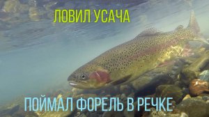 ловил усача поймал форель в речке