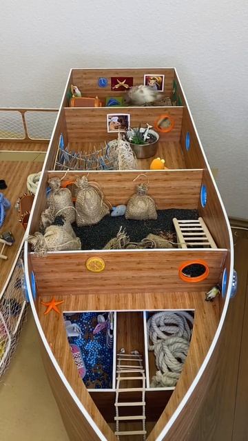#хомяки #домашниеживотные #видеосхомяками #хомячки #hamster #hamsters #милыеживотные