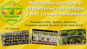 Магазины для дач и строительства теперь у нас самые любимые. Рассада в Оби, Ашане, Магните. 14 сери